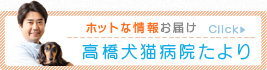 ホットな情報お届け！高橋犬猫病院たより